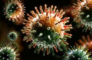 На территории 33-региона продолжается стремительный рост заражения коронавирусной инфекцией. По данным на 7 февраля, только за последние 24 ...