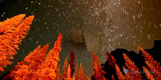 Песню Игоря Слуцкого «Время покажет» поёт Евгений Виноградов...